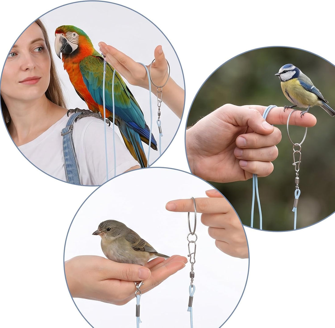 Bird Leash with 5 Different Size Foot Ring Parrot Flying Harness