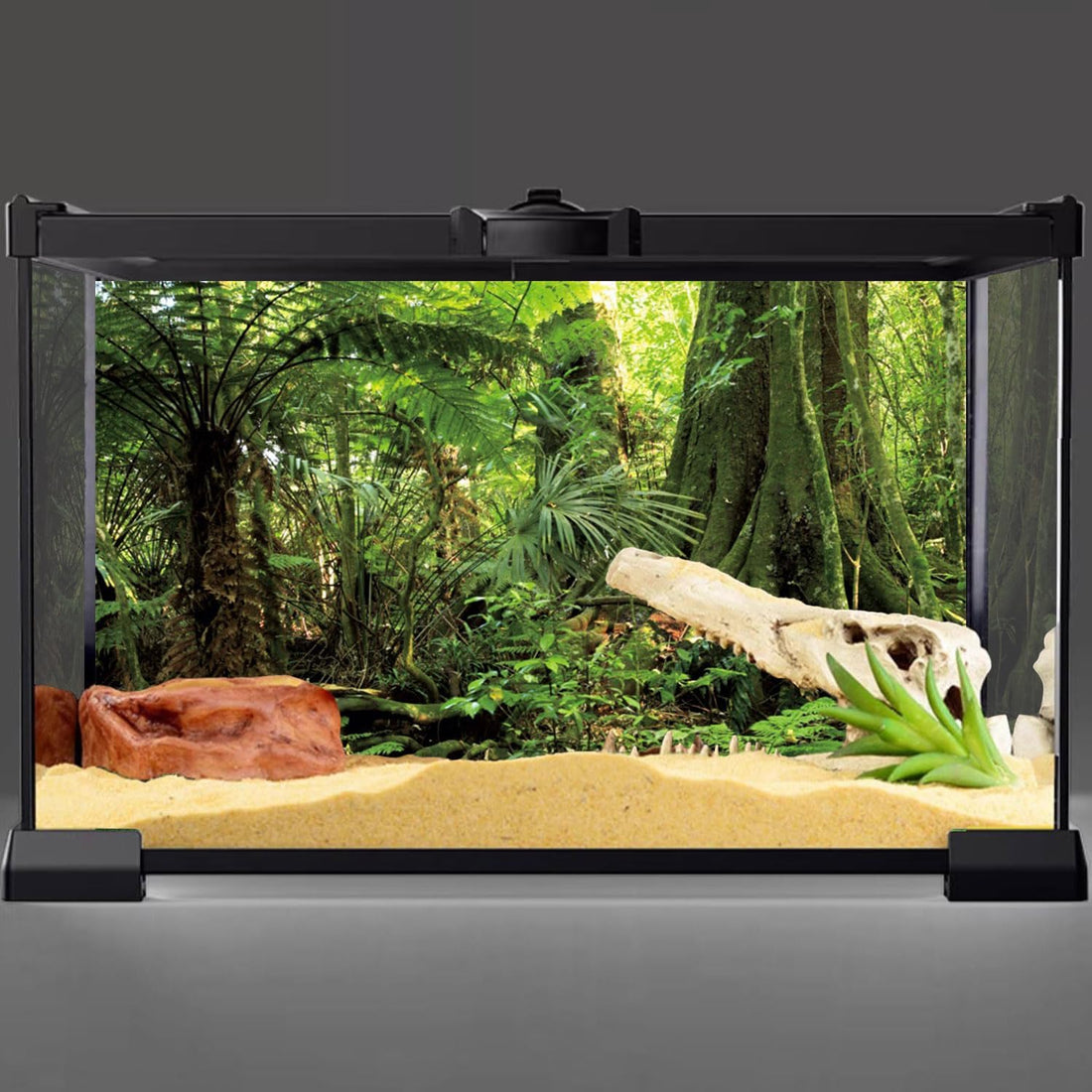 36x18 in Terrarium Backdrop Green Forest Tree Reptile Habitat