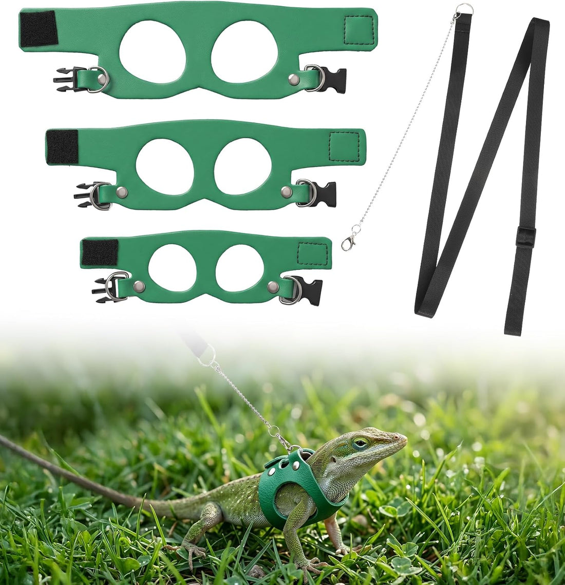 3 Pack Bearded Dragon Leash Set