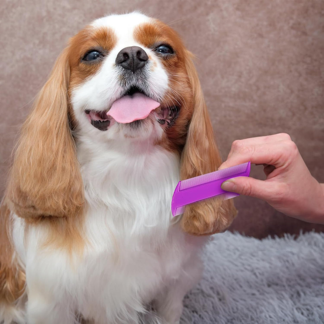 Pumtus 120 Pack Plastic Flea Lice Combs, Fine Tooth Flea Tick Comb