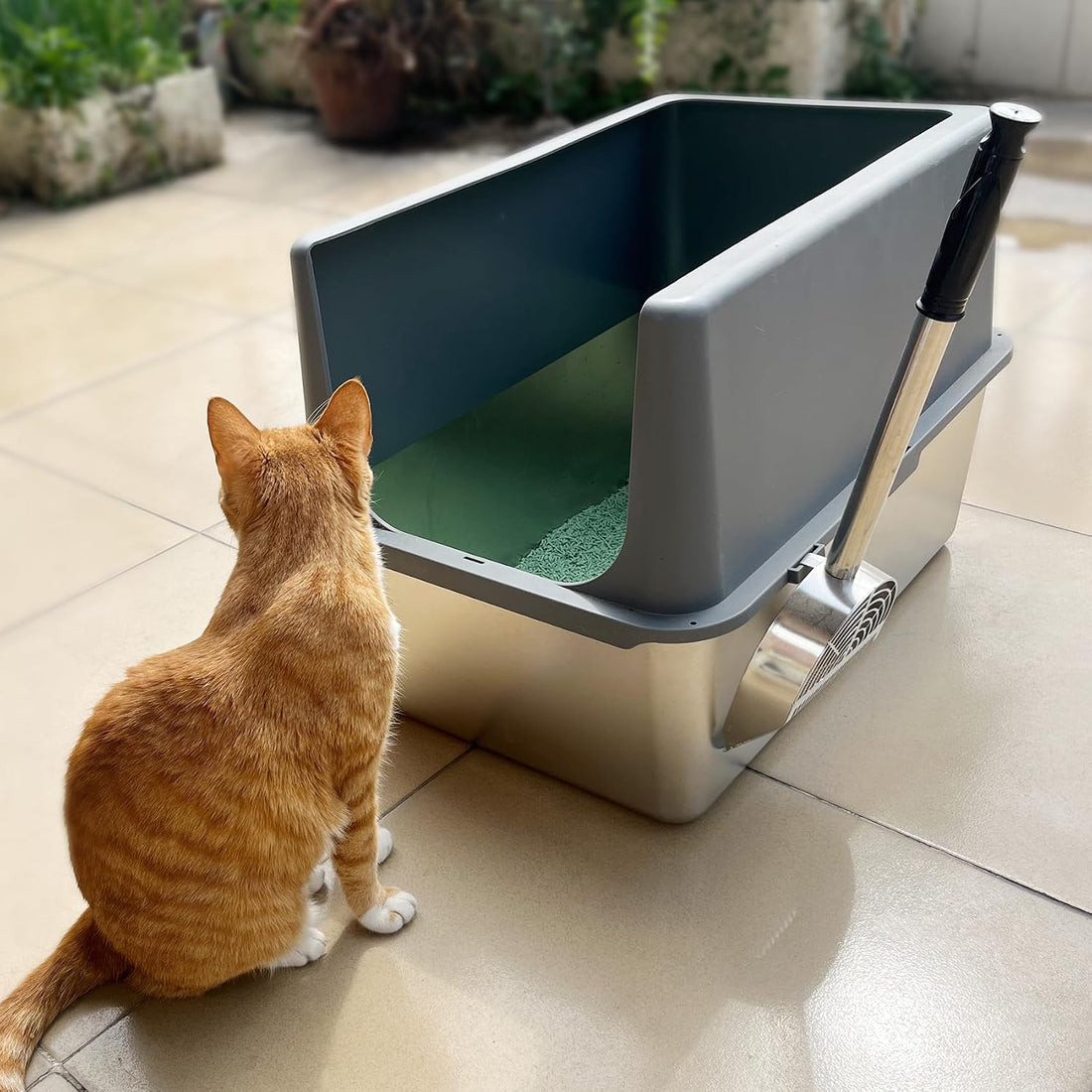 Cat Litter Scoop Deep Shovel,Detachable Long Handle Litter