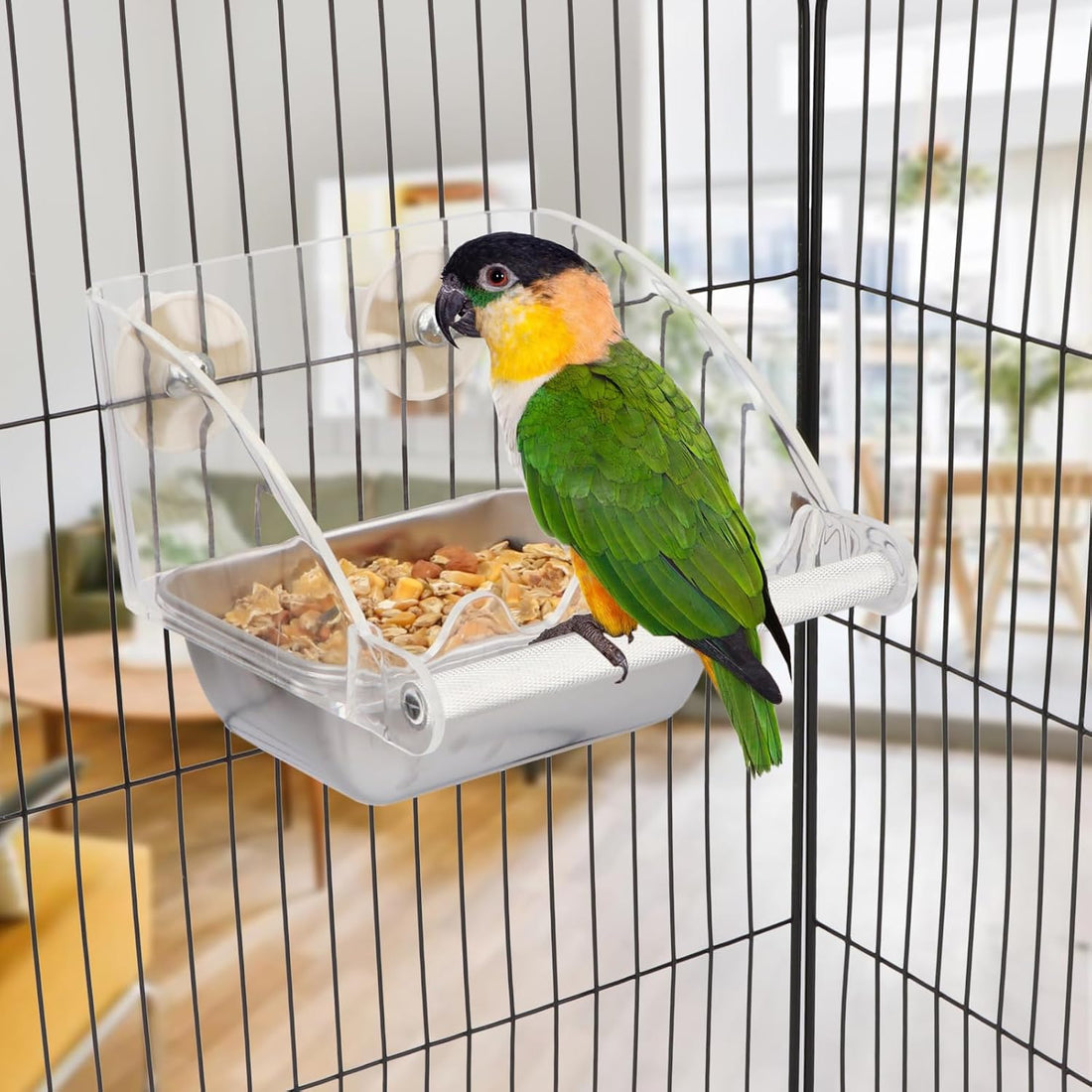 Hypeety Transparent Bird Feeder No Mess Parakeet Feeder for Cage
