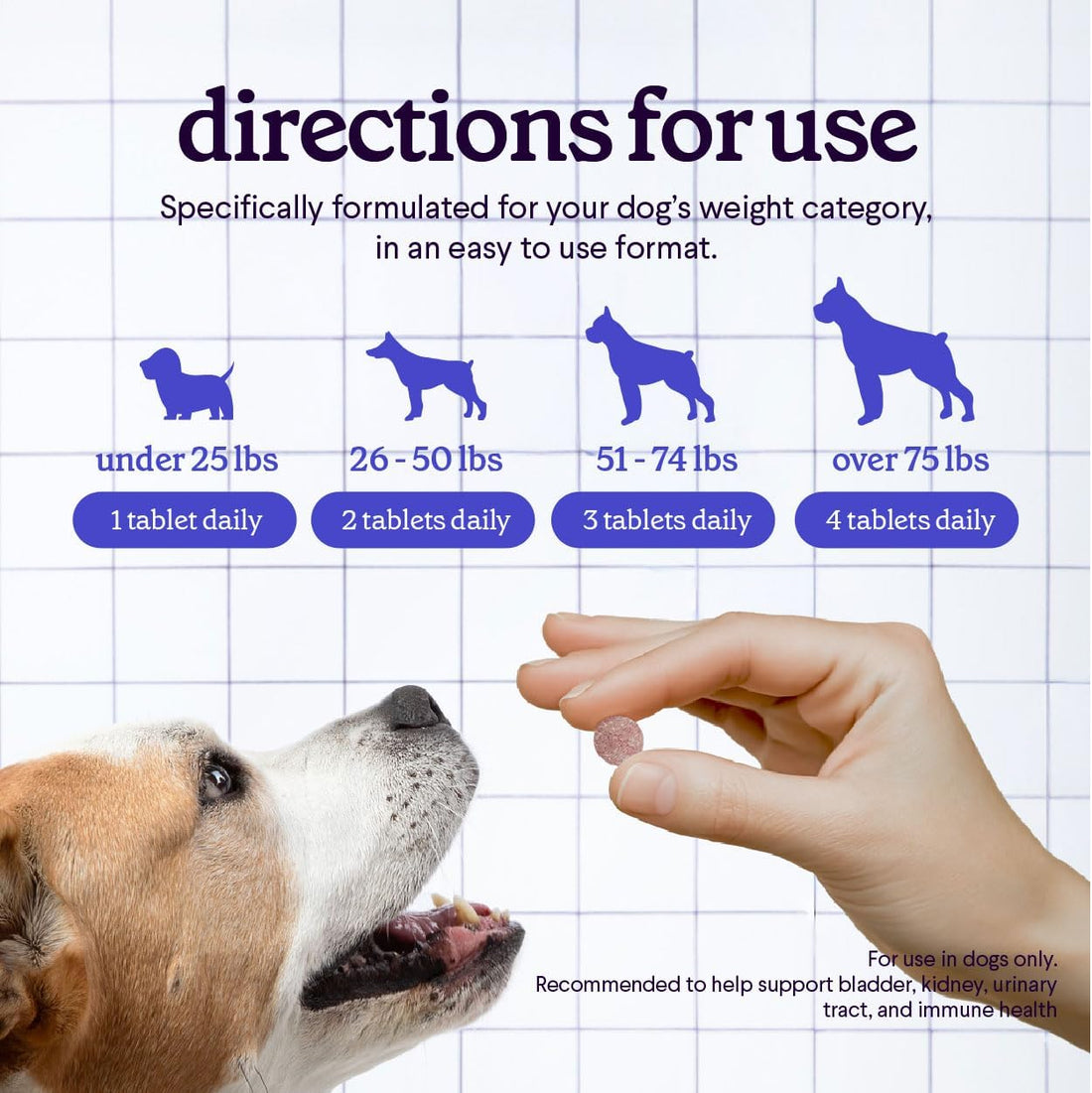 Cranberry Supplement for Dogs UTI