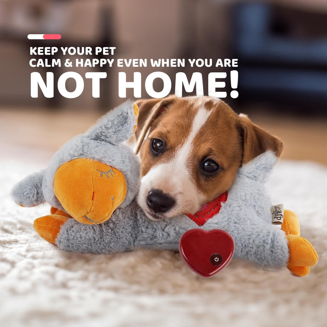 ALL FOR PAWS Heart Beat Dog Toy