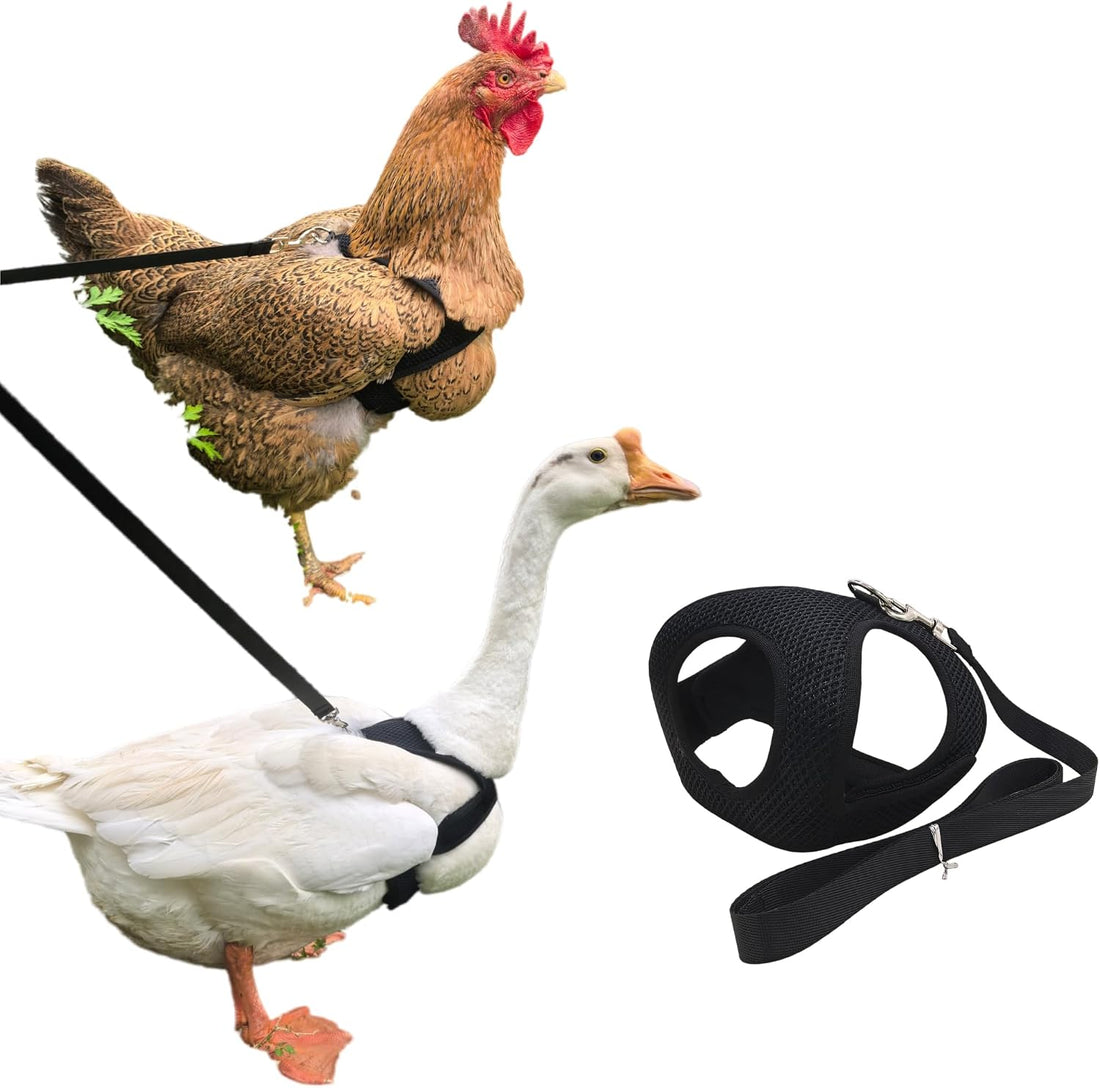 Adjustable Chicken Harness and Leash Set