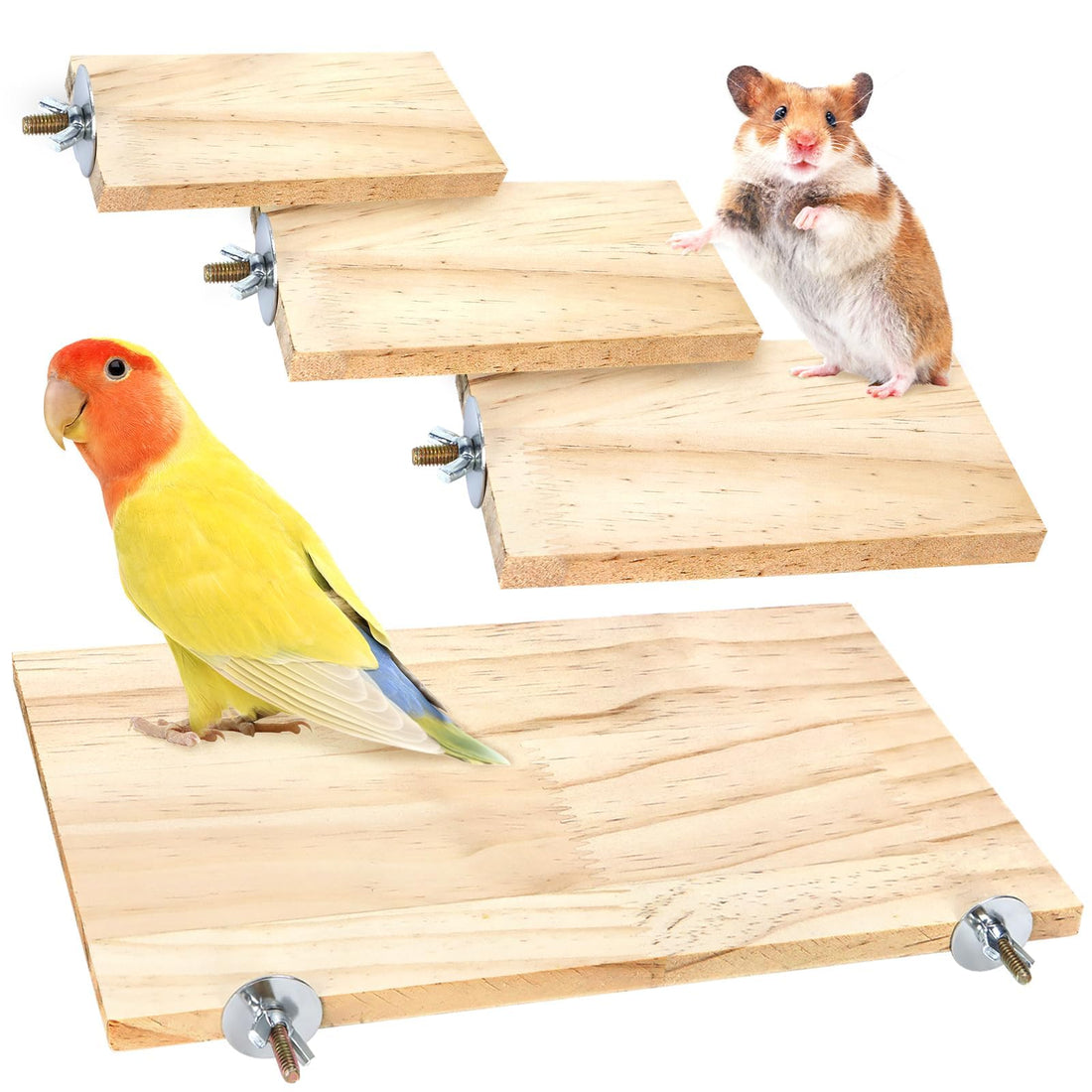 BILLIOTEAM 4-Size Bird Platforms with Wood Perches and Stand Boards