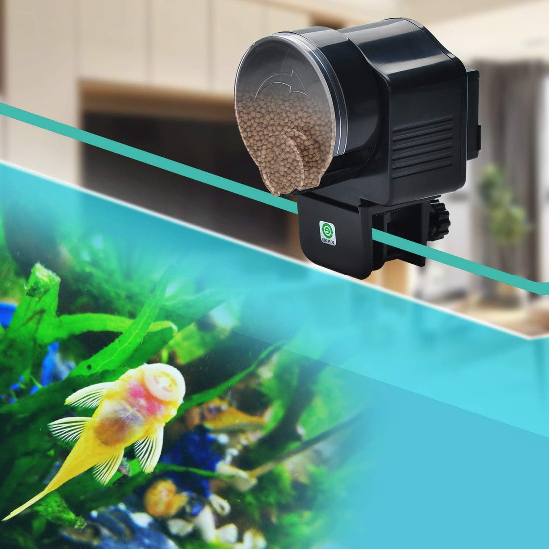 Lychee Aquarium Fish Feeder Vacation Aquarium Automatic Fish Food