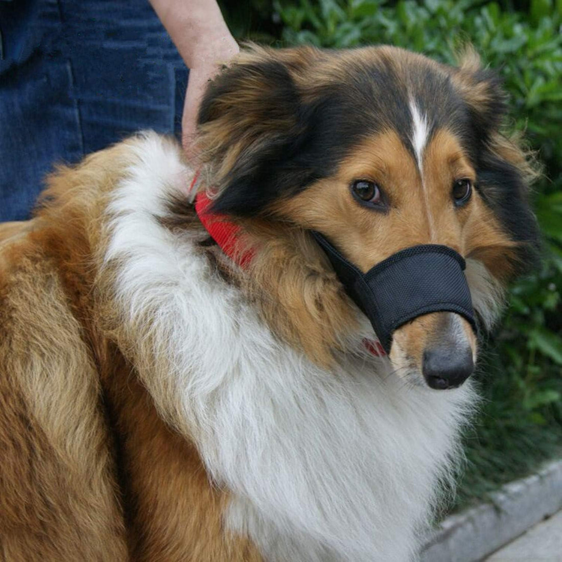 Dog Muzzles Suit - 7PCS Dog Muzzles Adjustable Quick Fit pet Muzzle