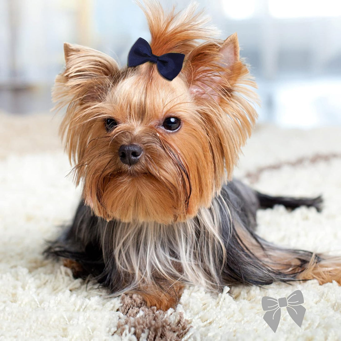Clipband Puppy Dogs Hair Barrettes Bows with Rubber Bands,Hair