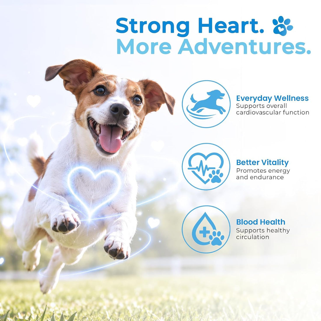 Heart Support Chews for Dogs Chicken 150 Count with Taurine