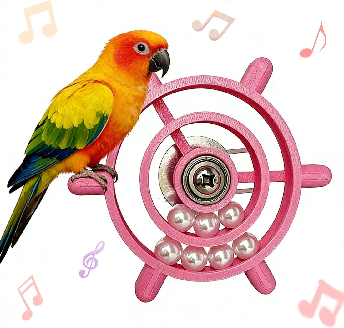 Bird Toys for Parakeets, Wheel Spinning Parrot Toy with Bells