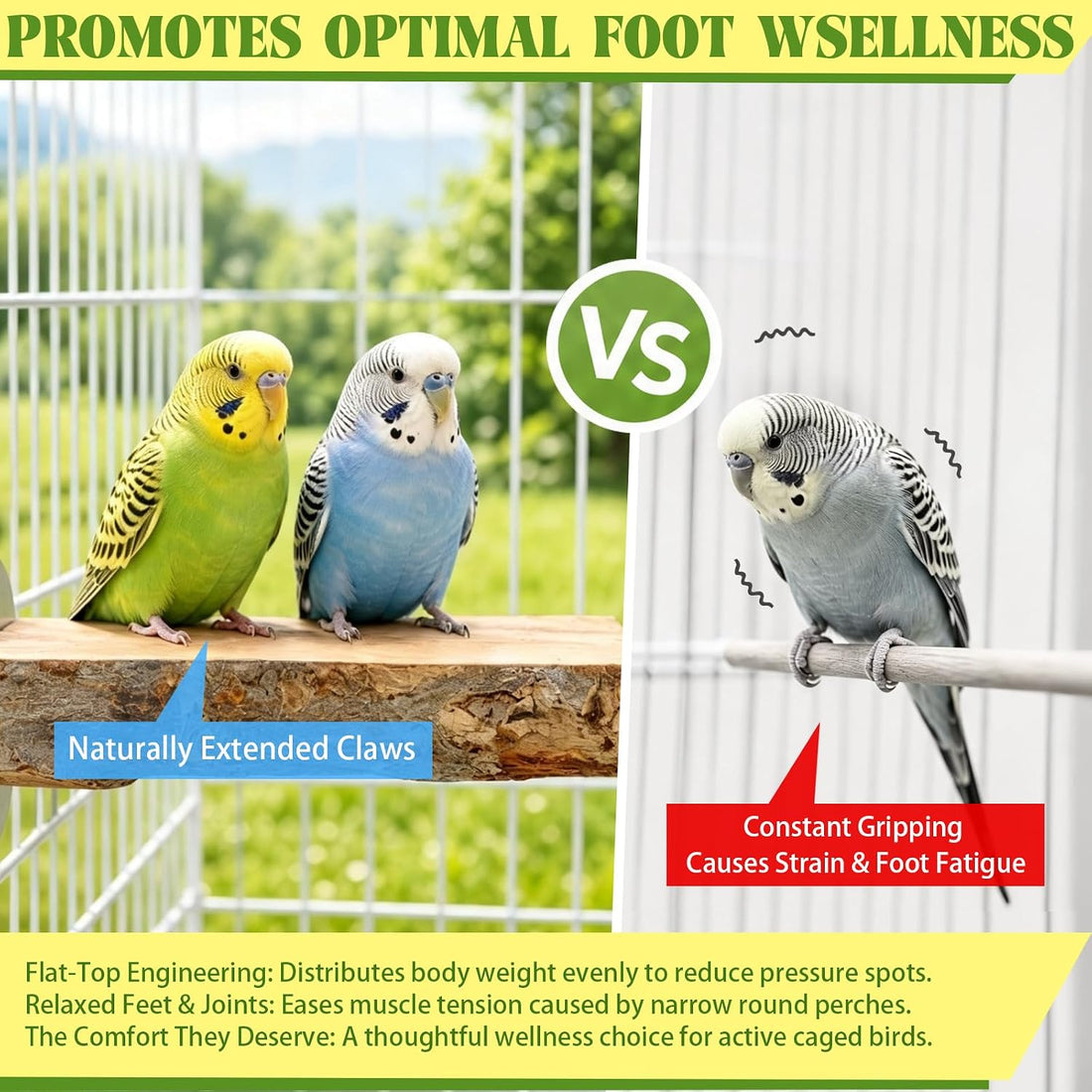 2PCS Large Flat Bird Perch Platform for Cage (6" x 3.15")