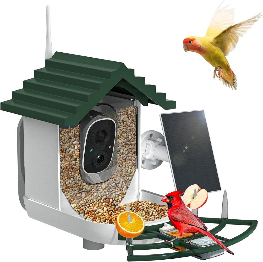NAVFS Smart Bird Feeder with Camera Solar Powered & AI Bi rd