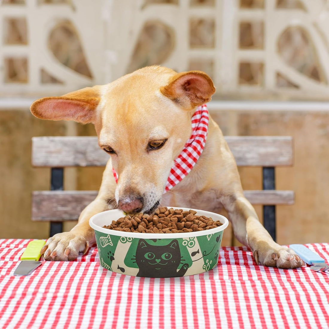 SOUJOY 40 Pcs Disposable Cat Food Bowls