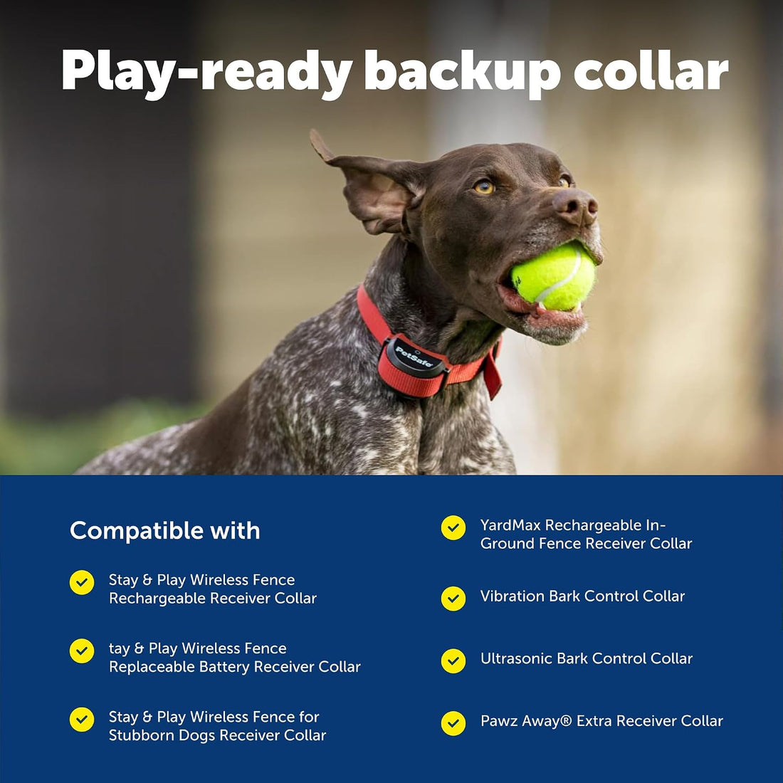 PetSafe 3/4 Inch Replacement Collar Strap, Rust