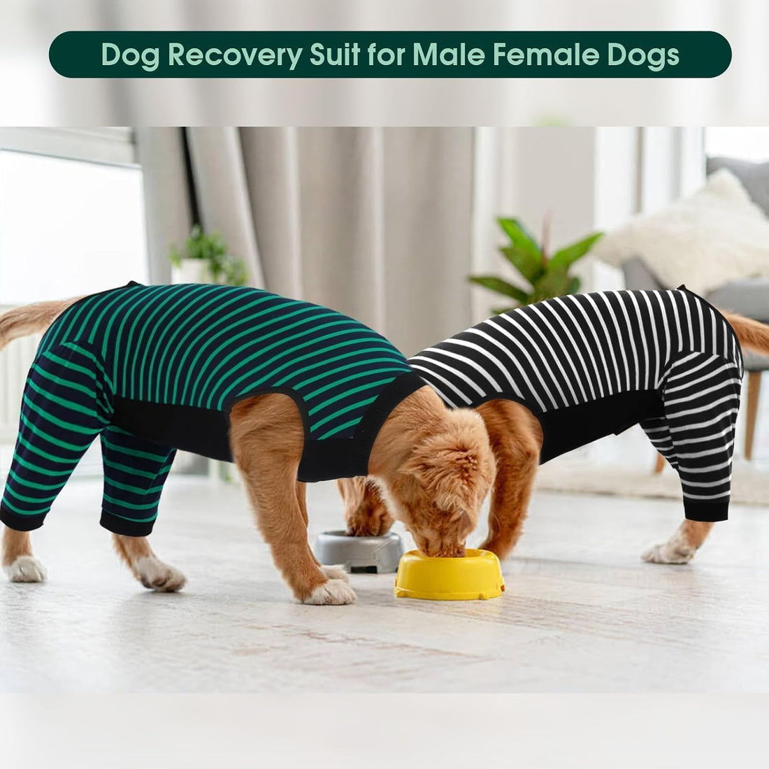 Kuoser Dog Recovery Suit with Anti Licking Rear Leg Sleeve, Green M