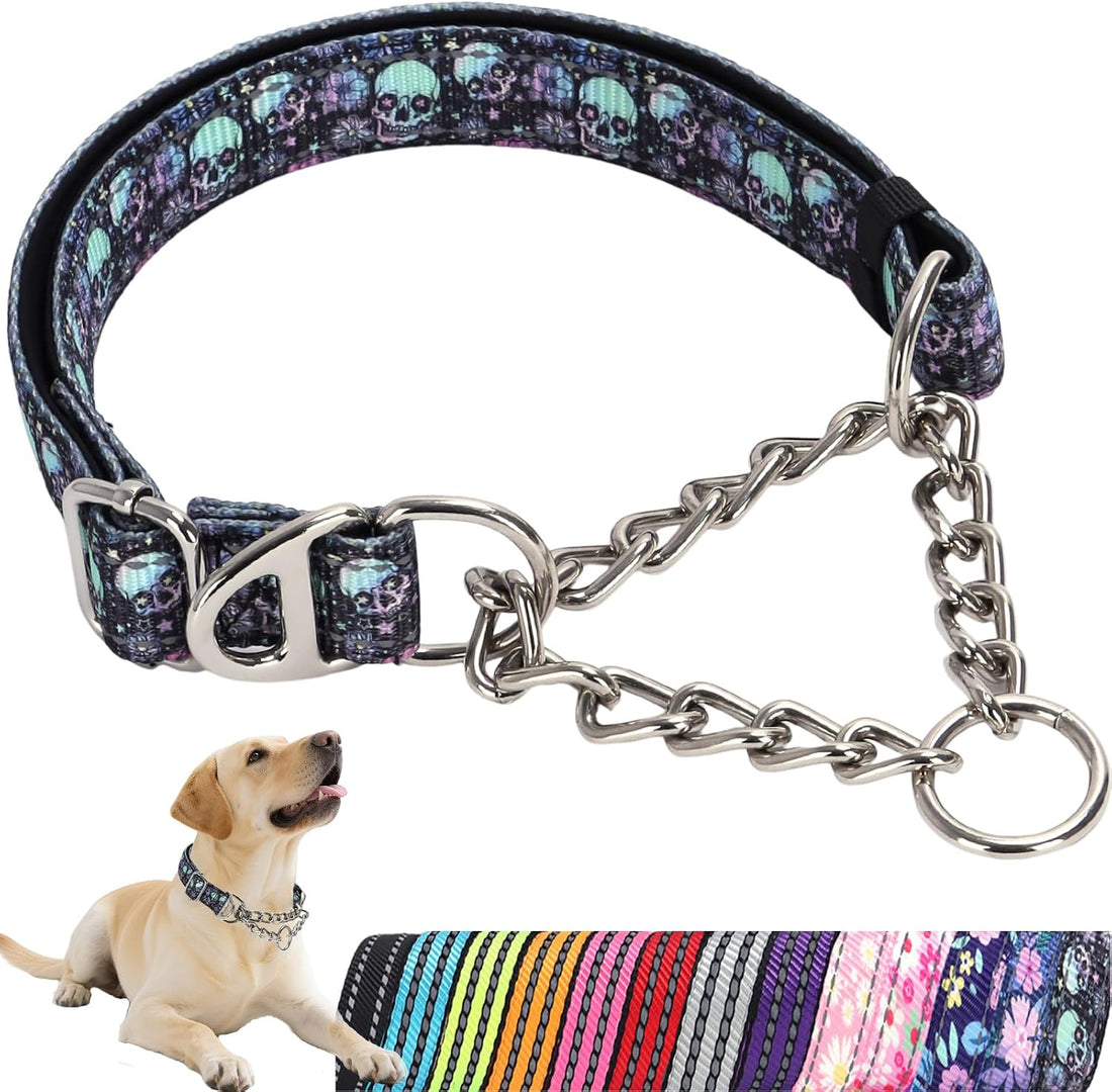 Martingale Collar for Dogs with Chain,Heavy Duty Dog Collar