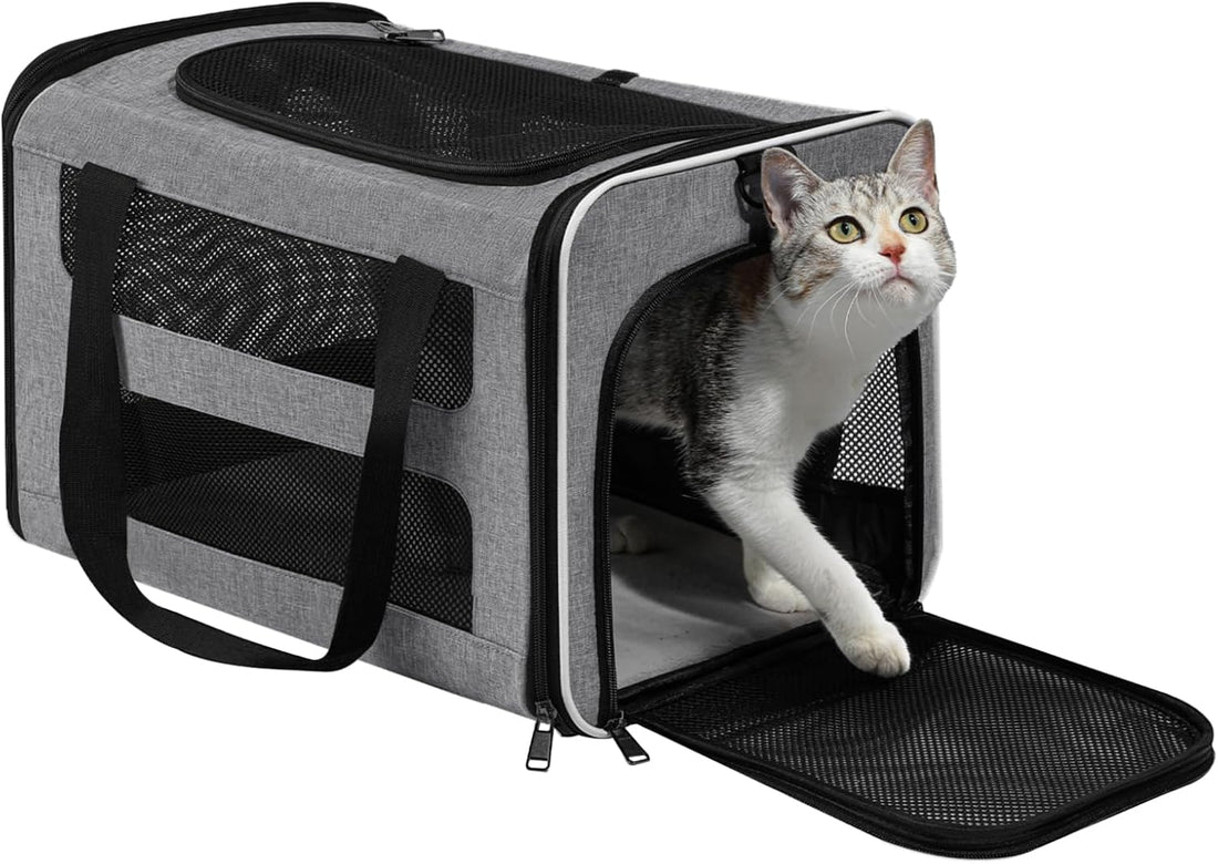 Cat Carrier Soft-Sided Travel Bag for Medium to Large Cat Over 15lbs