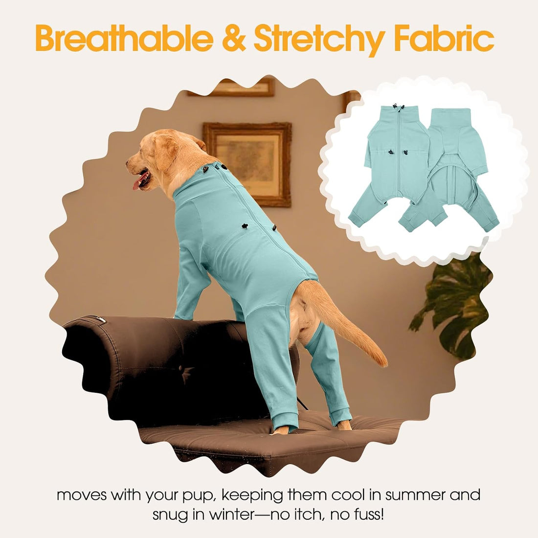 LeleTail Recovery Suit for Small Medium Large Dogs