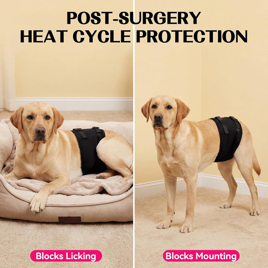 DENTRUN Male Dog Wrap, Adjustable Belly Band Leak-Proof & Lick