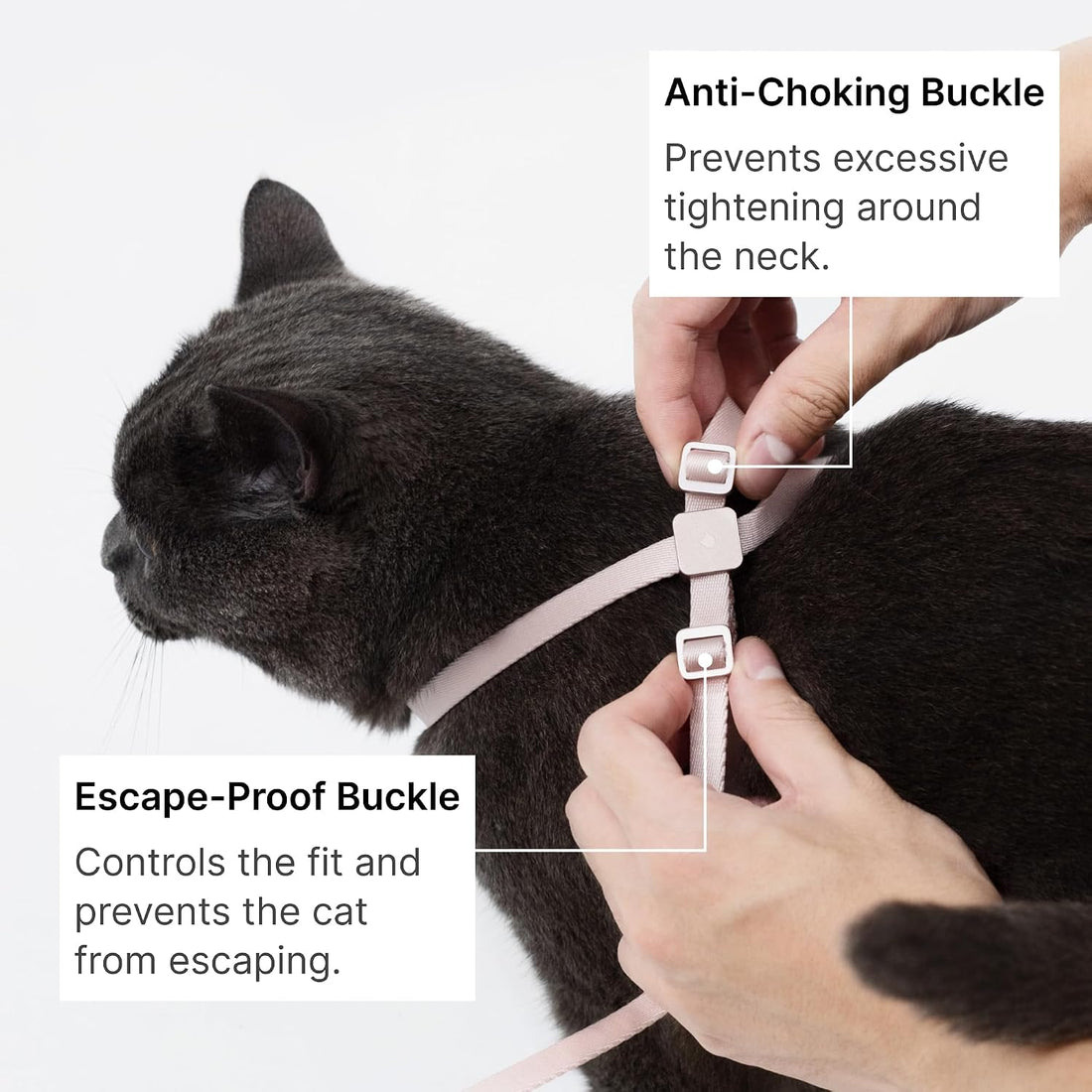 Escape Proof Cat Harness and Lightweight Leash Set
