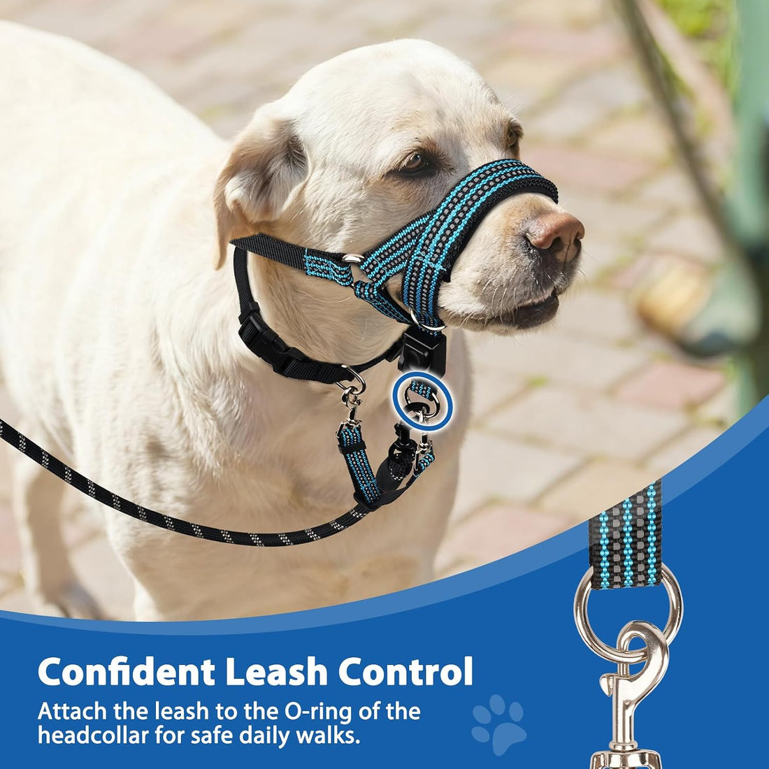 BARKLESS No Pull Dog Head Collar for Gentle Training Walking