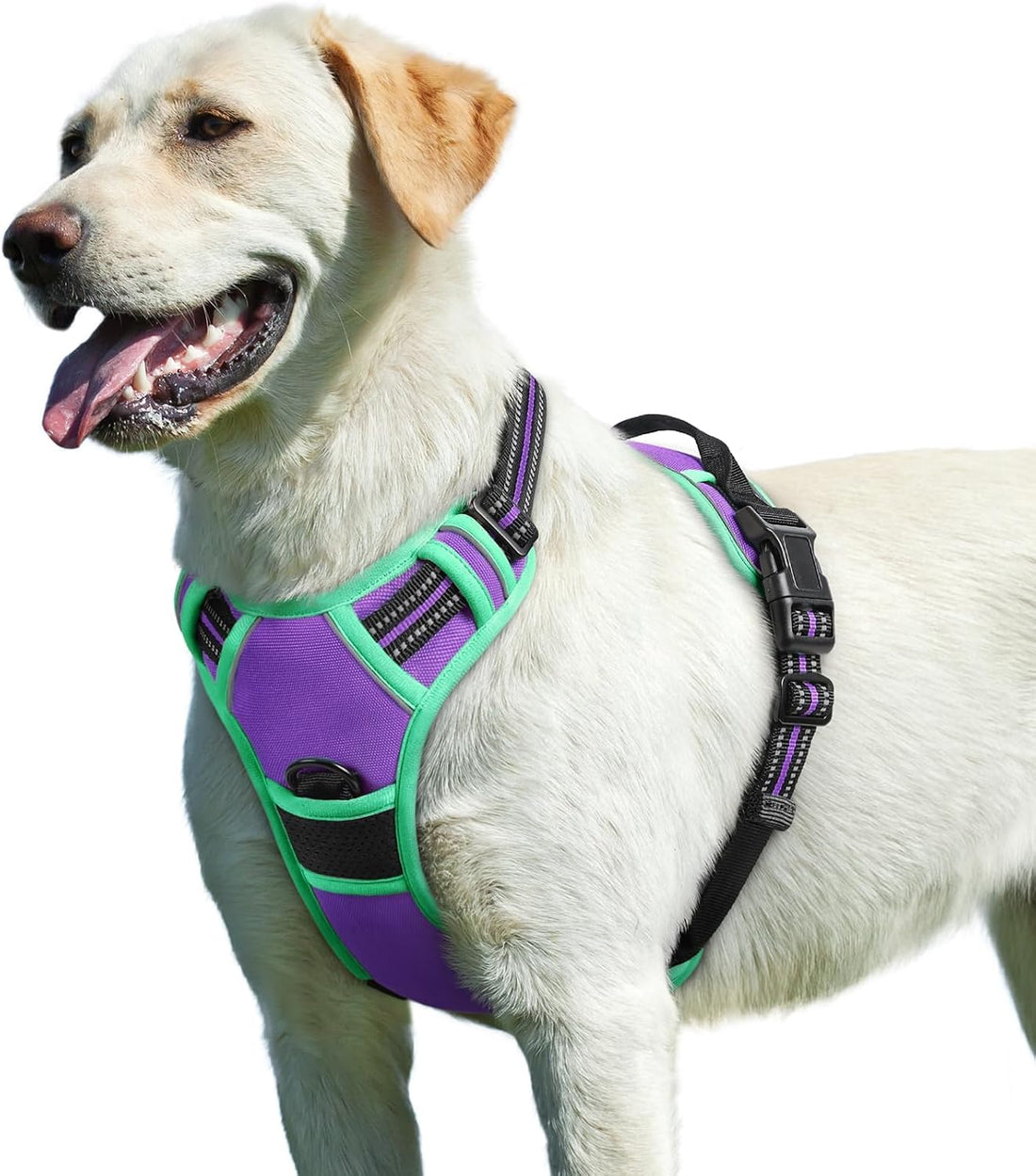 Eagloo Dog Harness for Medium Sized Dogs