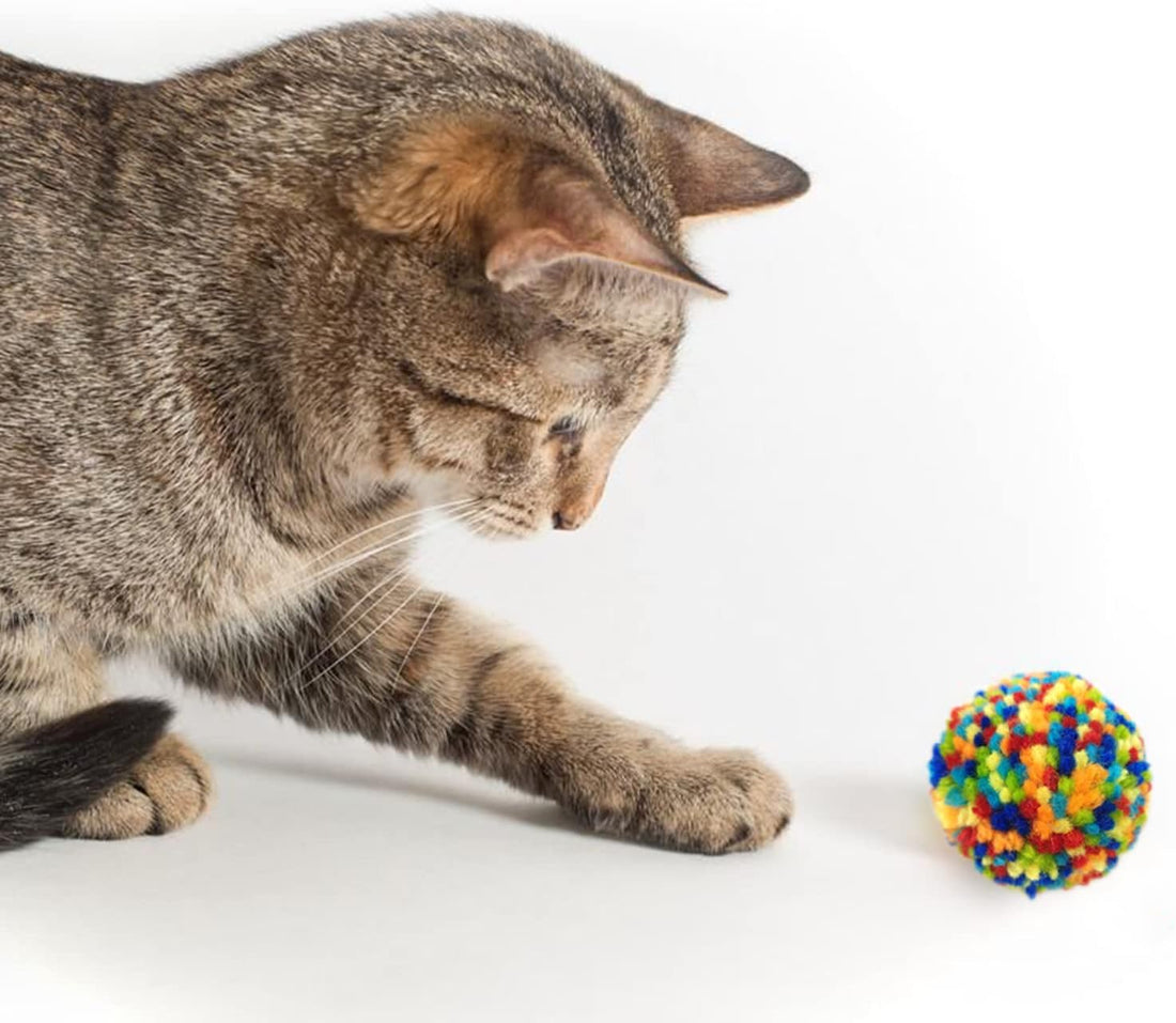 Andiker 6 Pcs Assorted Color Cat Ball Toys