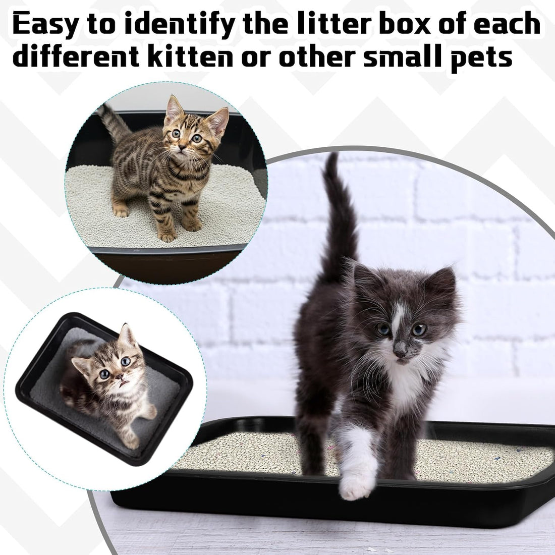 Tessco for you 3 Pcs Kitten Litter Box Shallow Low Entry Open Cat