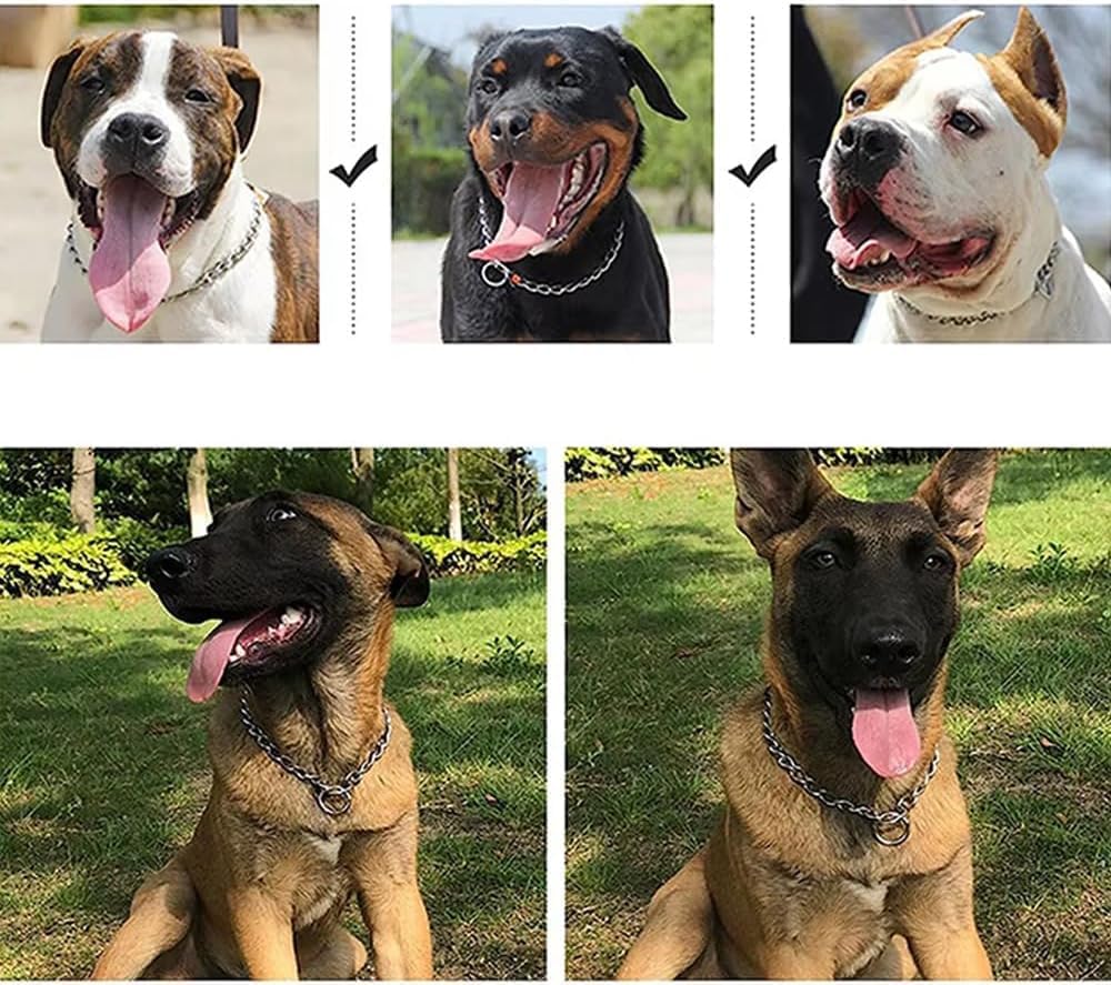 Chain Dog Choker Collar for Large Dogs