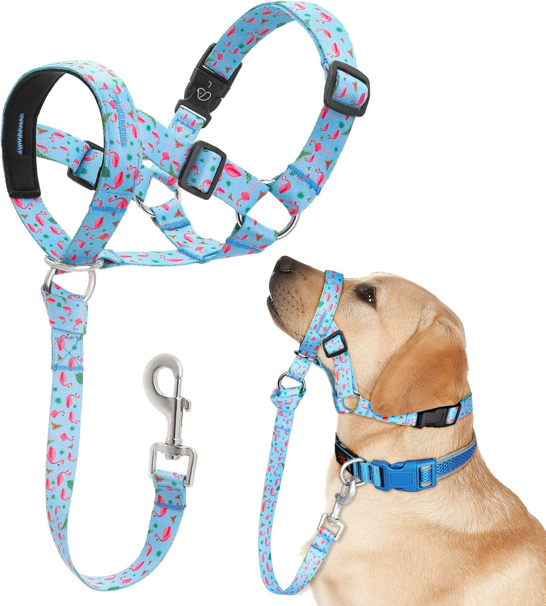 Dog Head Collar, Printed No-Pull Headcollar
