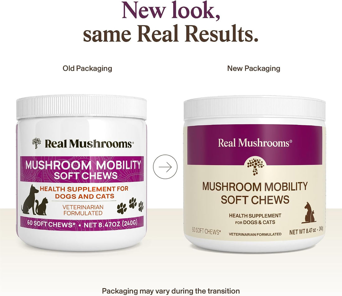 Real Mushrooms Pet Chews for Dogs & Cats