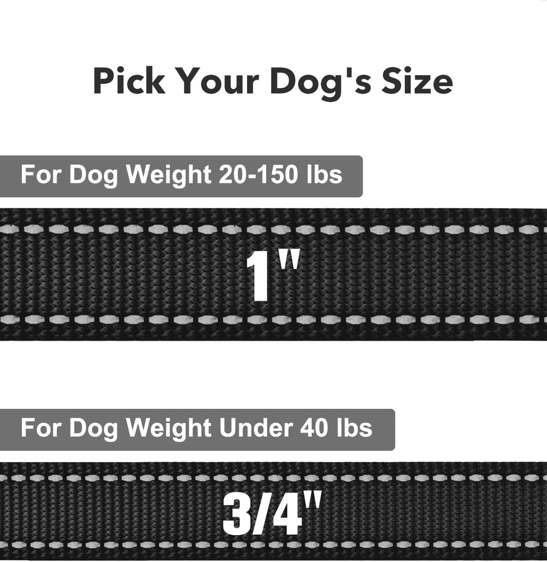 Taglory Reflective Dog Leash for Small Dogs, 3/4in x 4ft
