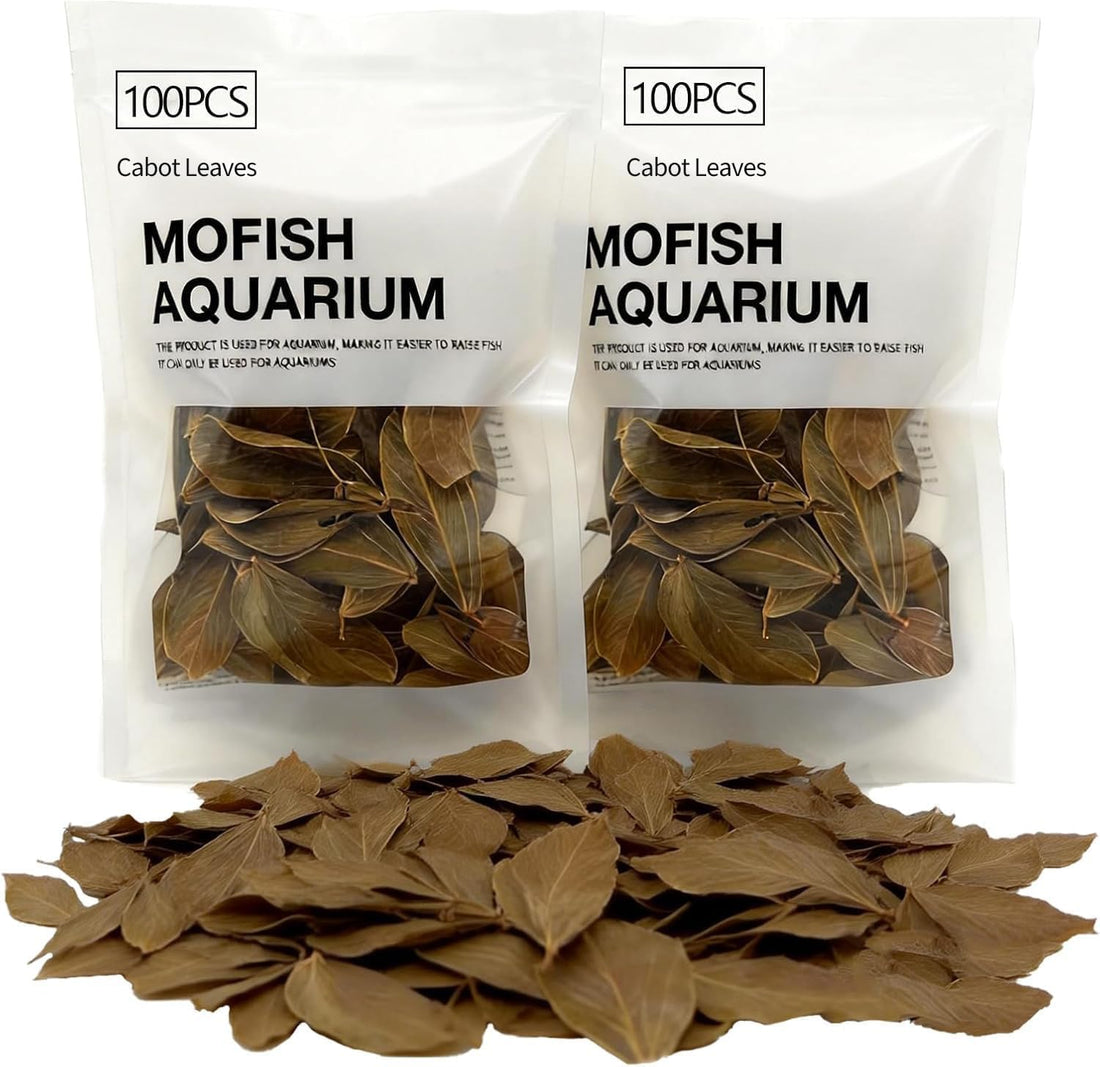 100Pcs Indian Almond Leaves Longan Leaves Aquarium Decor Water