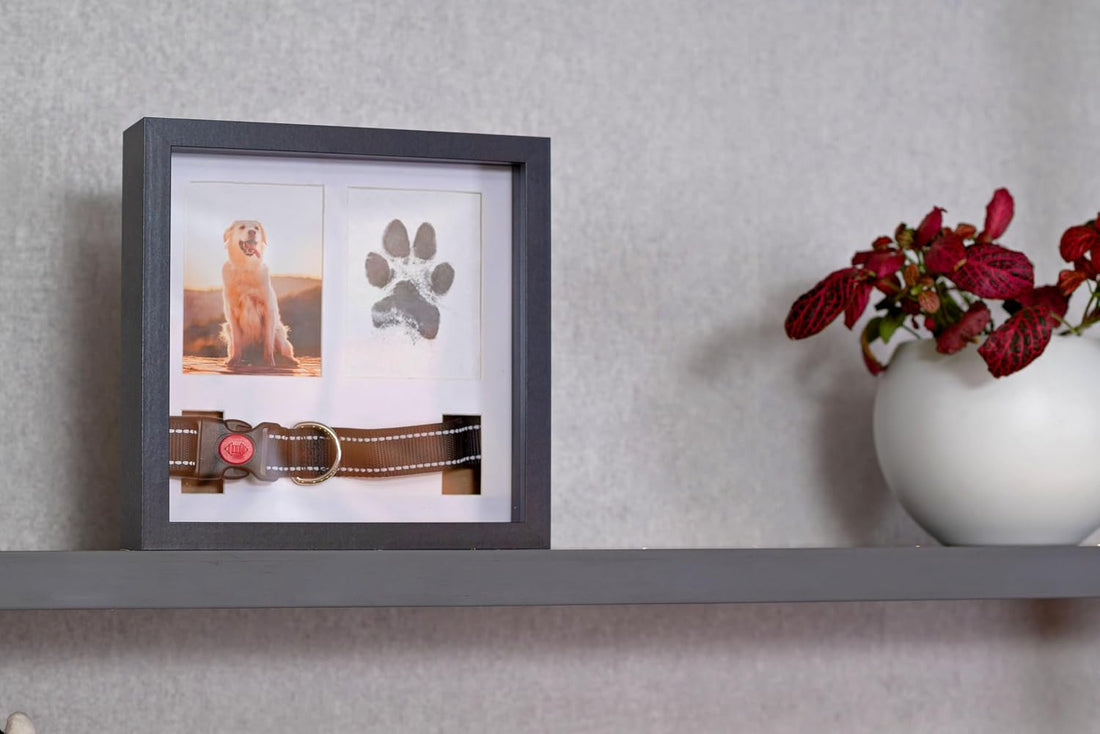 OtterPets Dog Paw Print Kit for Dogs