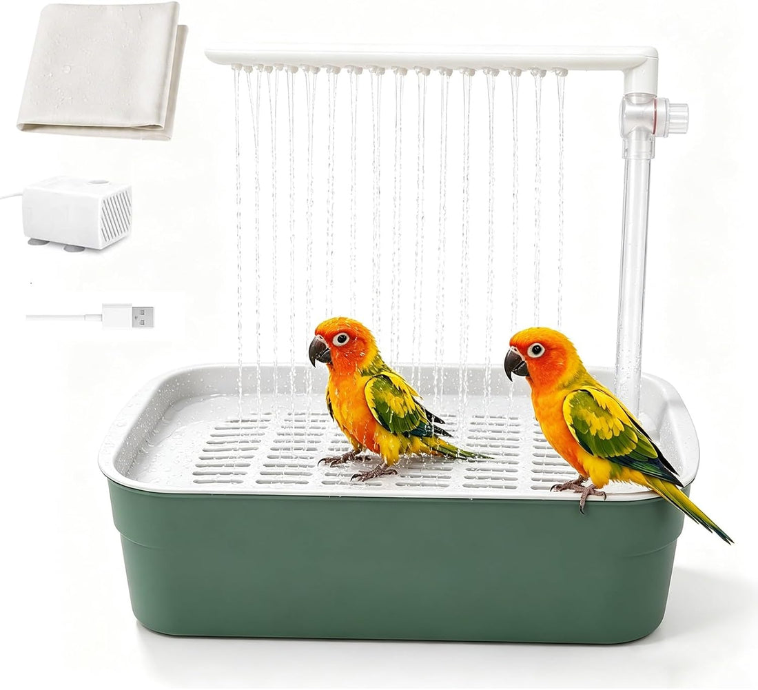 Parrot Bathtub Indoor Automatic Bath Shower,Bird Bath with Pump(small)