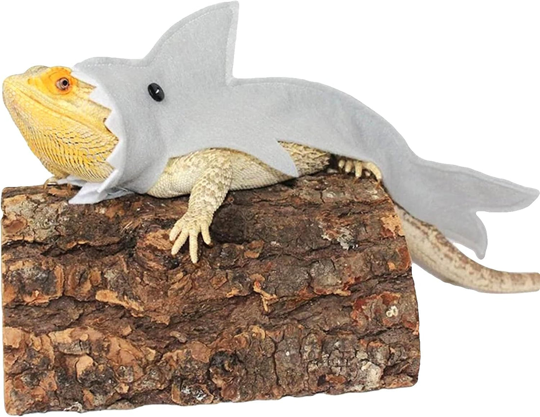 3 Pcs Shark Bearded Dragon Costume Felt Lizard Outfit Halloween Small