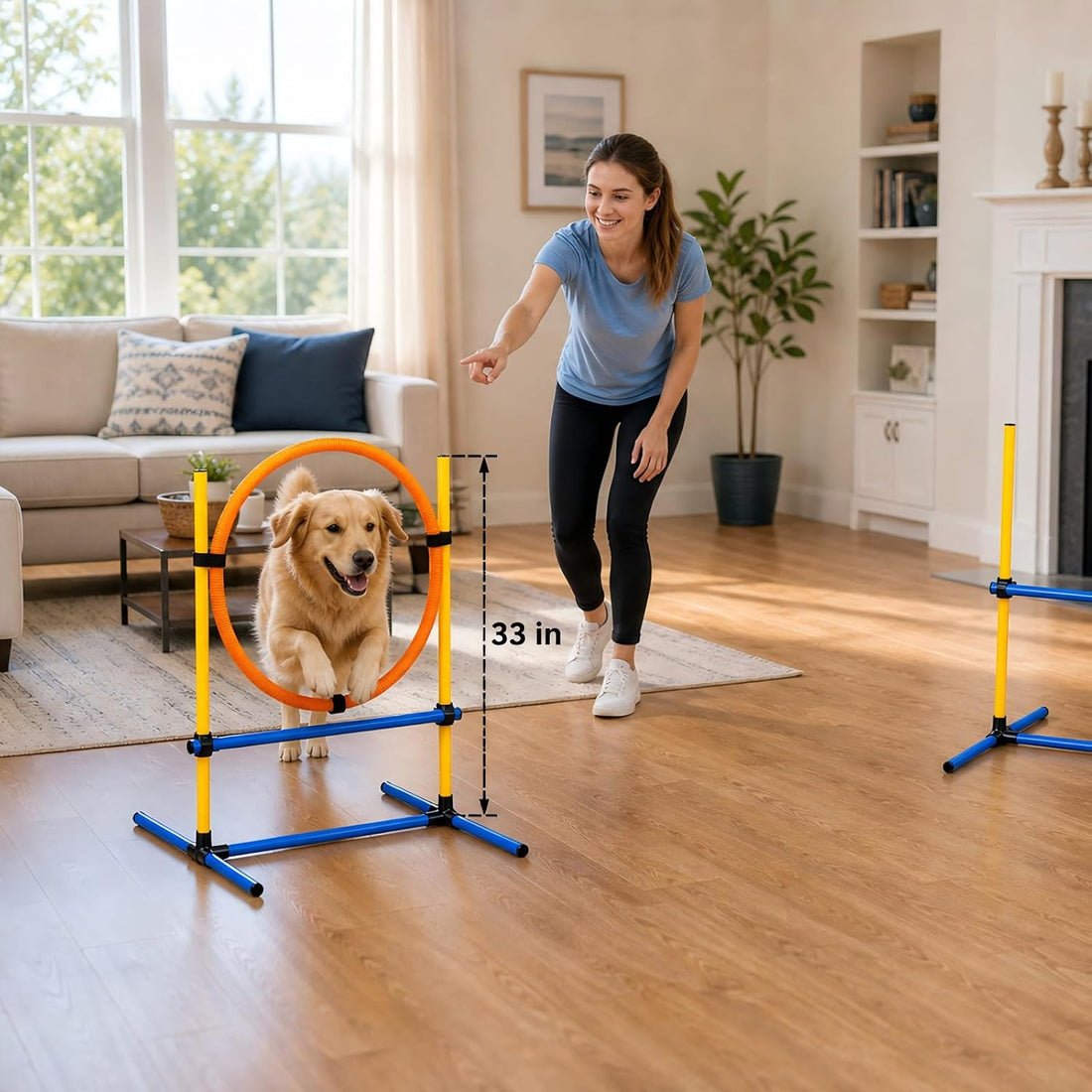 Dog Agility Equipment - Dog Obstacle Course Backyard Set
