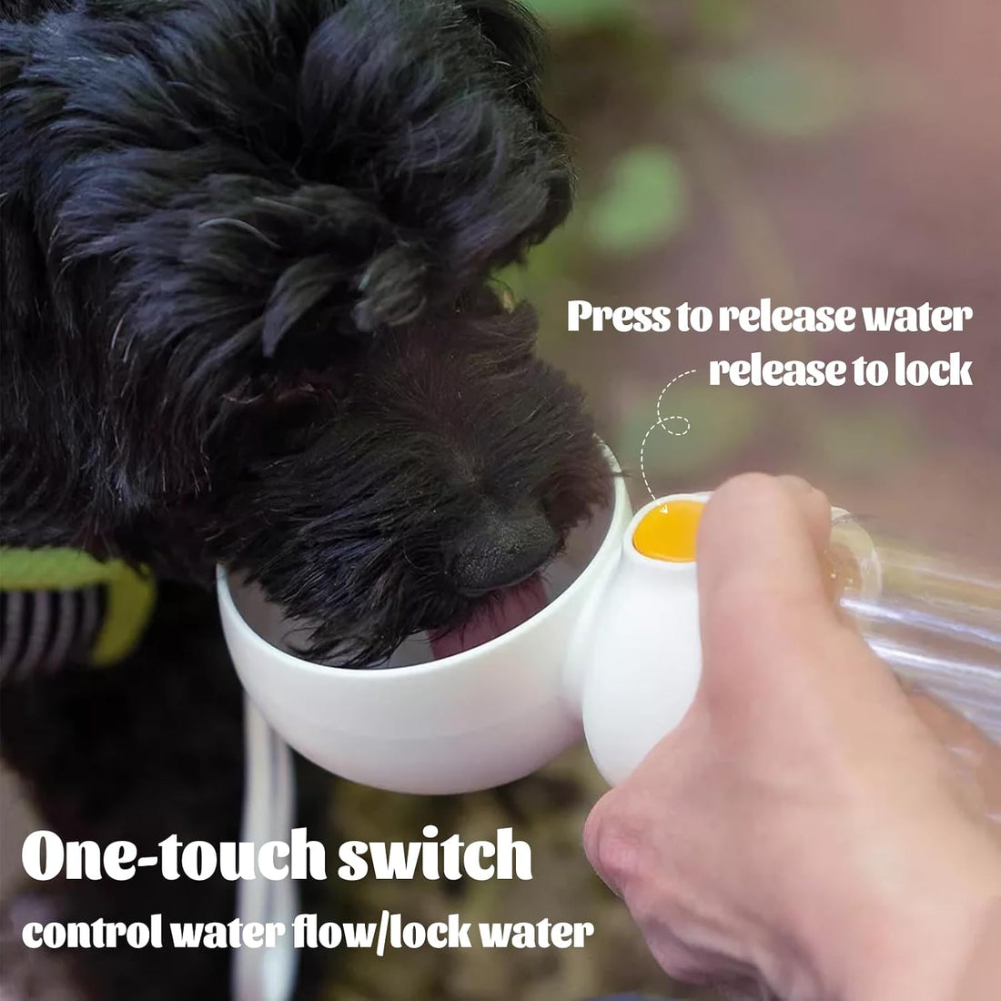 Dog Water Bottle with Food Storage Container & Water Dispenser