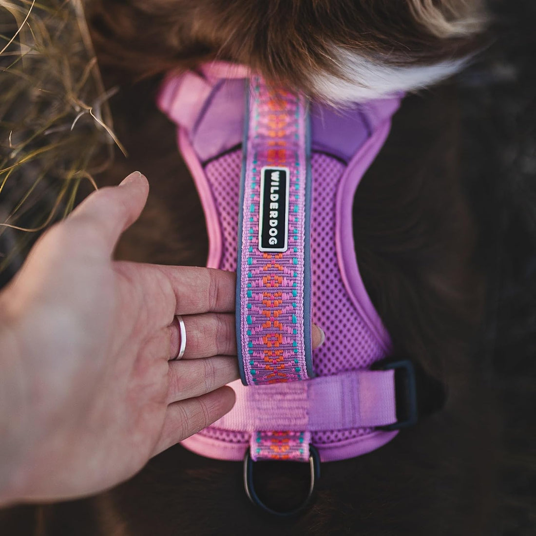 Wilderdog Lightweight Dog Harness with Reflective Straps - Medium