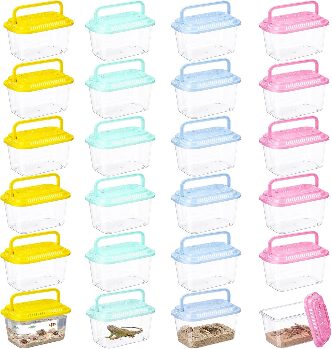 Leinuosen 12 Pcs Small Fish Tank Bulk Plastic Reptile Terrariums