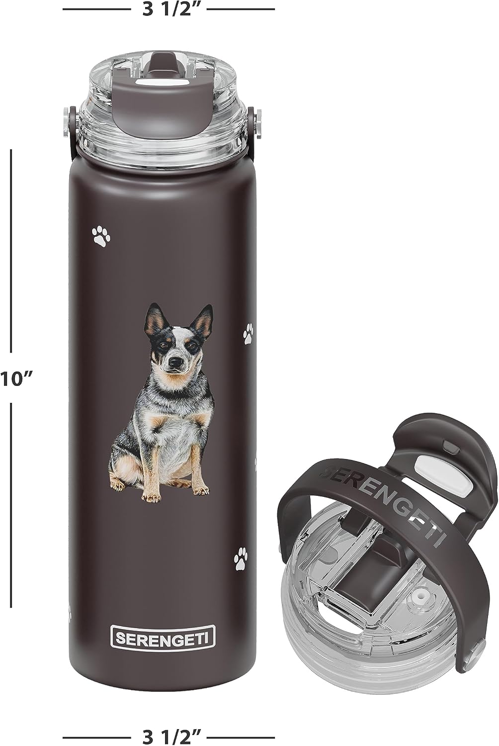 SERENGETI 24 Oz Water Bottle Stainless Steel with Spill Proof Lid