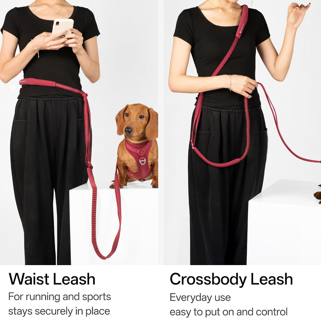 Hands Free Dog Leash Adjustable Versatile Crossbody Waist, Black