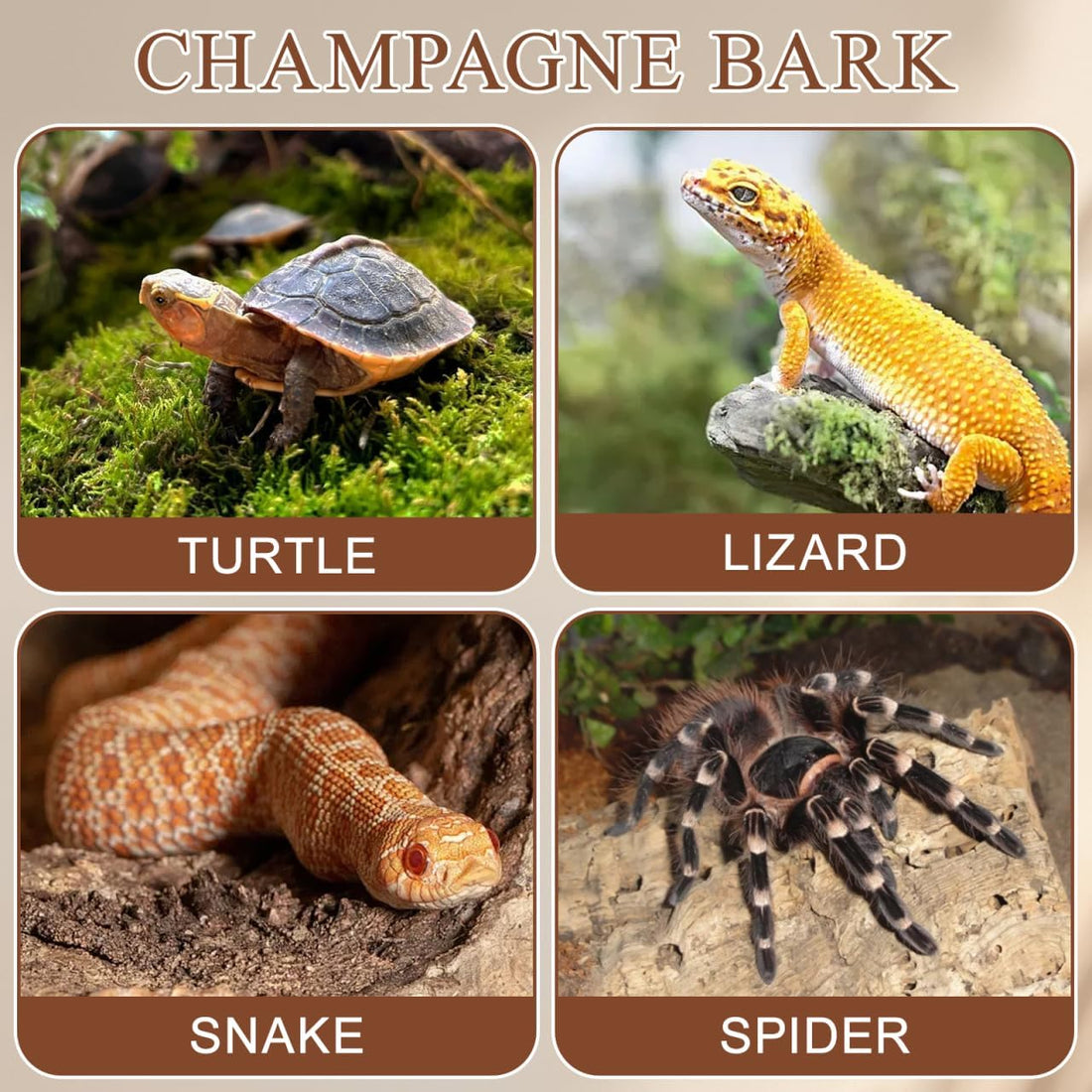 4pcs Natural Cork Bark for Reptiles
