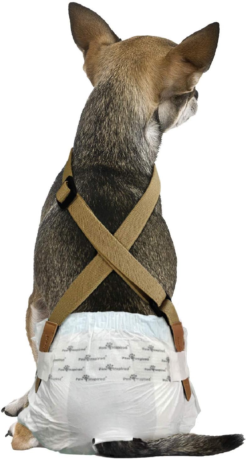 Paw Inspired Dog Diaper Suspenders, Hook & Loop Fasteners, M/L Size