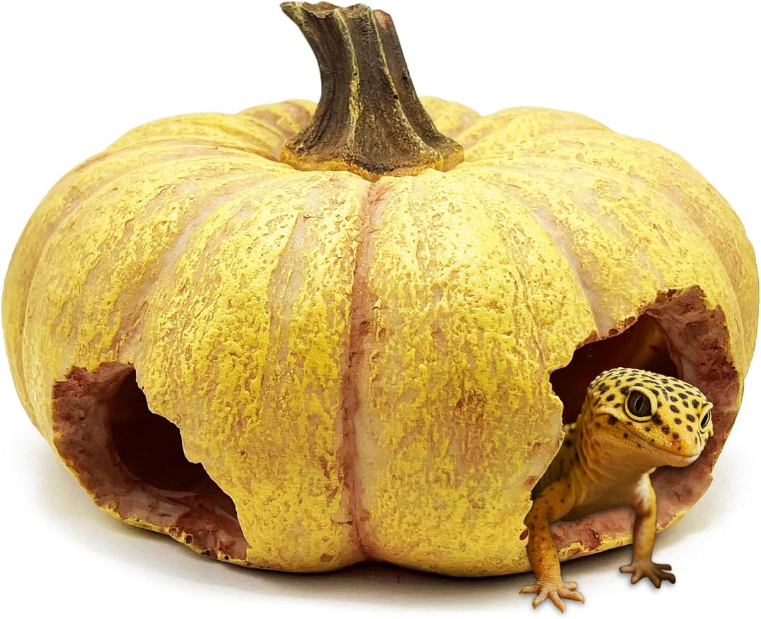 Pumpkin Leopard Gecko Hide Reptile Bearded Dragon Tank Hideout Caves