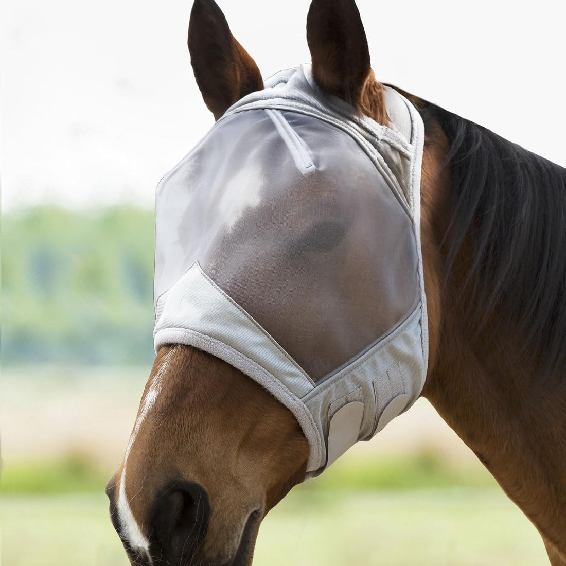 Harrison Howard CareMaster Horse Fly Mask Large Eye Space Standard