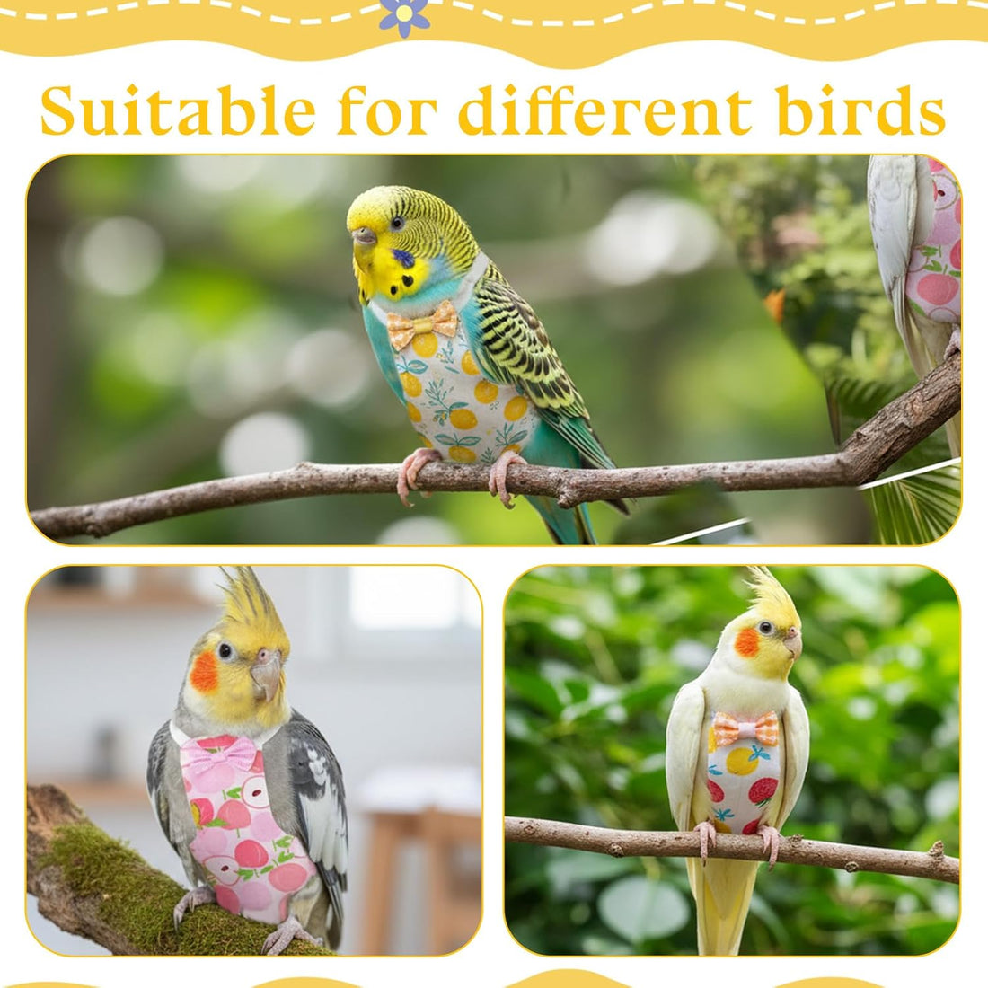 6 Pcs Bird Diapers, Parrot Diaper Reusable with Waterproof Lining