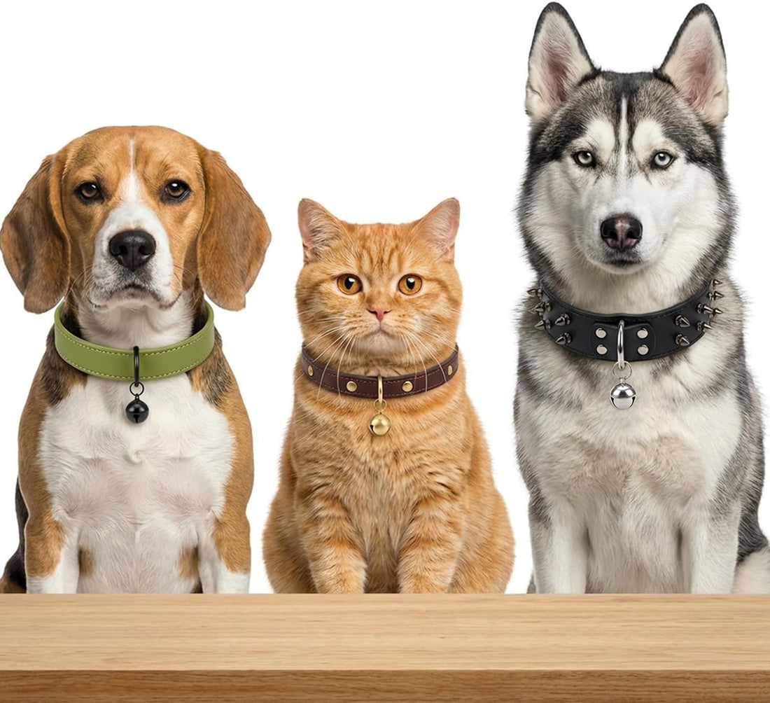 8 Pcs Collar Bells for Small Dogs Cat