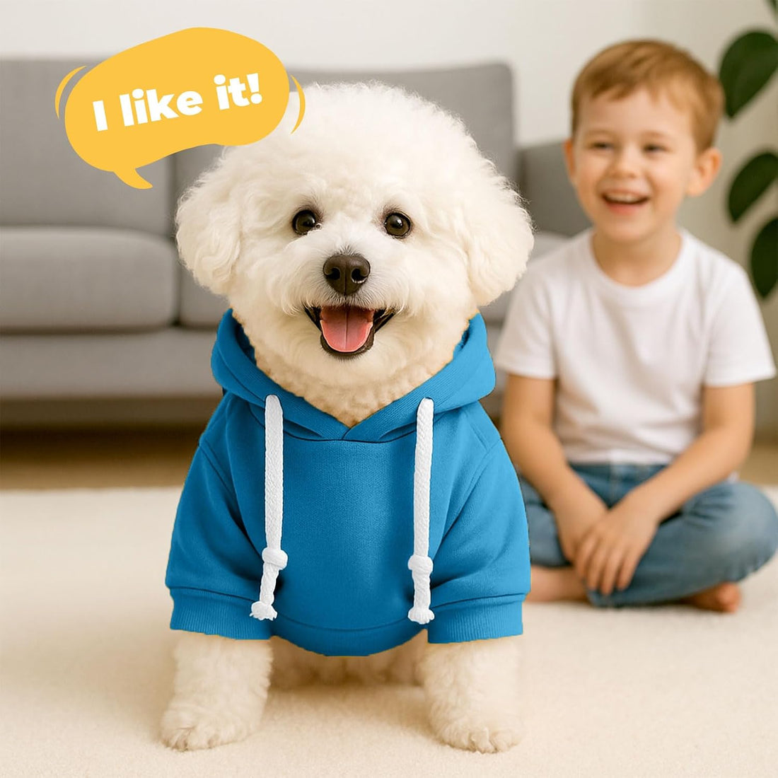 PETCARE Basic Dog Hoodie Sweaters for Small Medium Large Dogs Cats